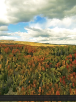 Dixie National Forest - Fall Aerial https://vimeo.com/146969450