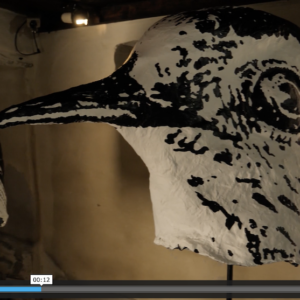 Explore the ways in which artists are inspired by birds