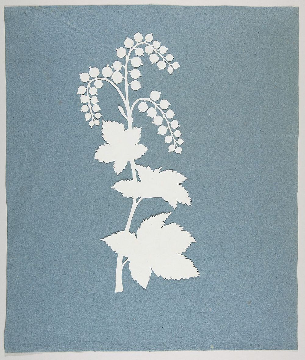 Red Currant , Philipp Otto Runge (German, Wolgast 1777–1810 Hamburg) Late 18th–Early 19th century Medium: Silhouette Dimensions: sheet: 13 9/16 x 11 5/8 in. (34.5 x 29.5 cm) Classification: Cut Paper Credit Line: Janet Lee Kadesky Ruttenberg Fund, in honor of Colta Ives, and Mary Martin Fund, 2010