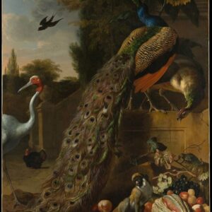 Explore still life paintings made in the 17th Century 