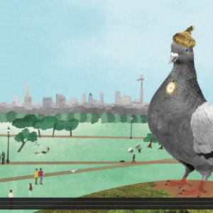 Architecture According to Pigeons, Illustrated by Natsko Seki.