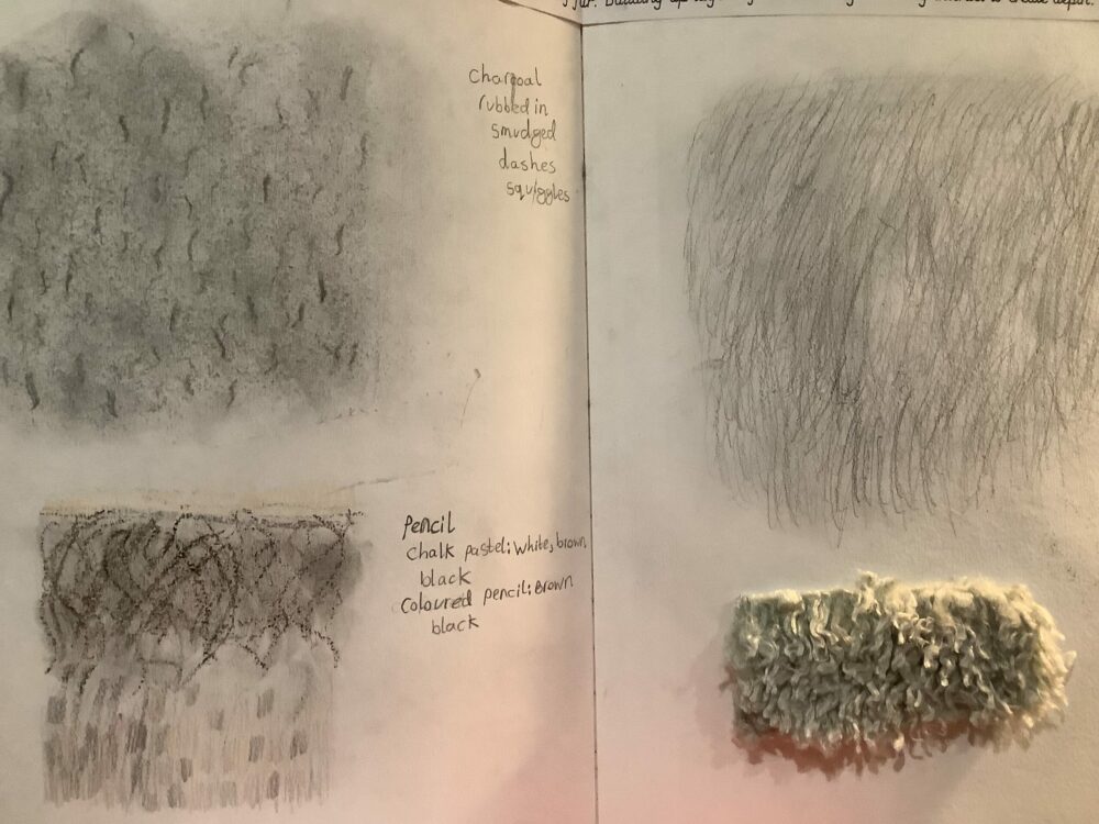 An open sketchbook showing examples of observational drawing if faux fur.