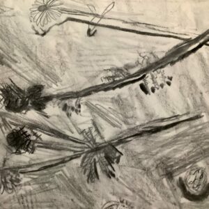 Explore Shakespeare plays through drawing