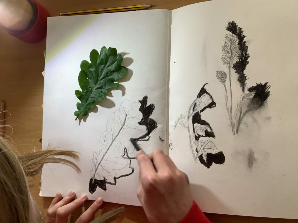 Observing natural forms using pencil.