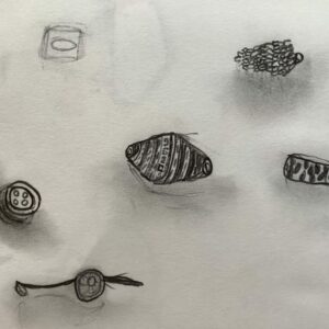 A range of small pencil drawings.