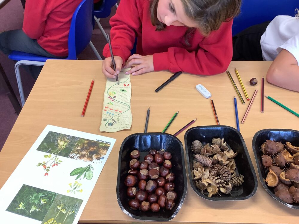 Using small natural forms to inspire magic spells.