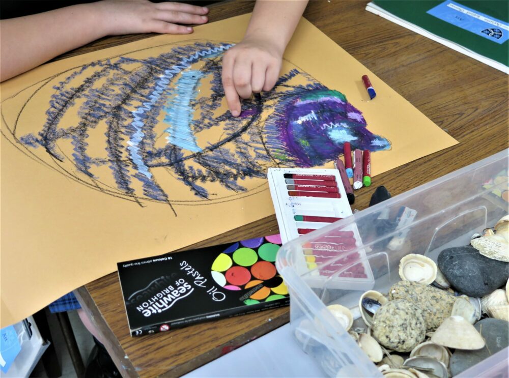 Adding colour to a drawing of a shell.