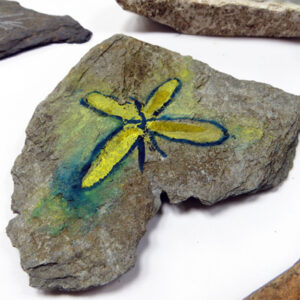 Drawing on Pebbles