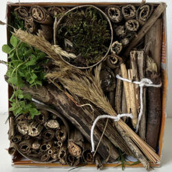 Create insect hotels using natural materials sourced from the local area