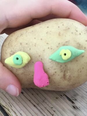 Plasticine Feature on a Potato by Rachel Thompson