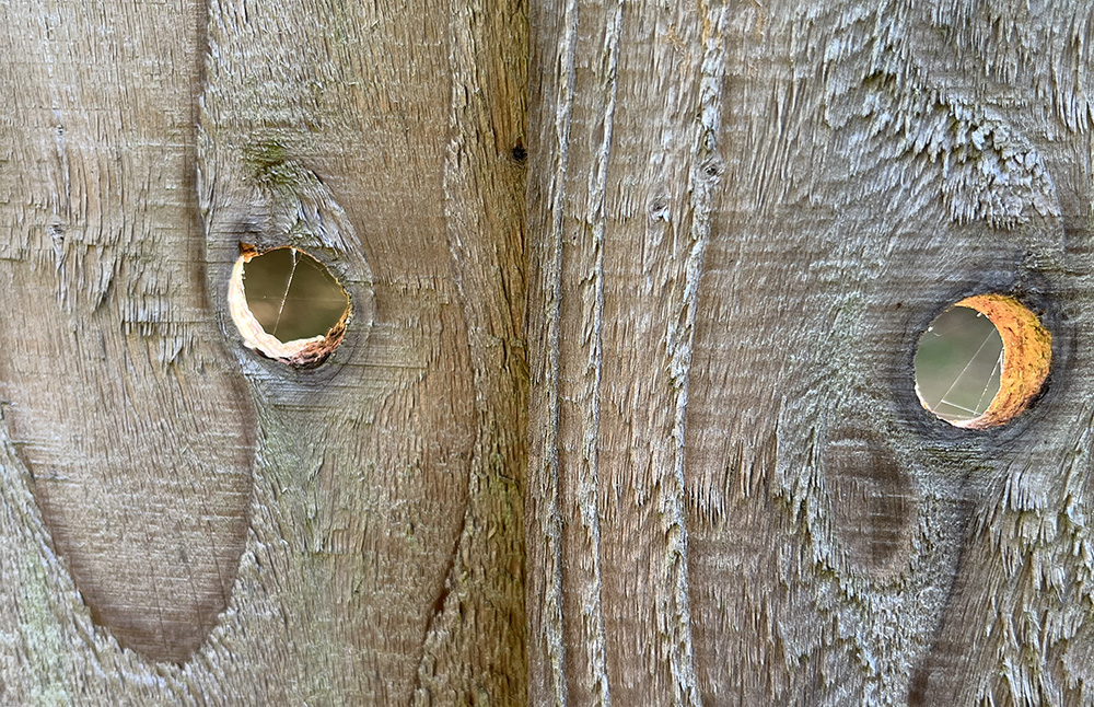 Finding Circles