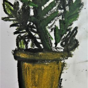 Build your understanding about what drawing is and the purposes it serves. 