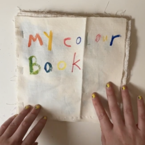 Explorer's Colour Book by Tobi Meuwissen
