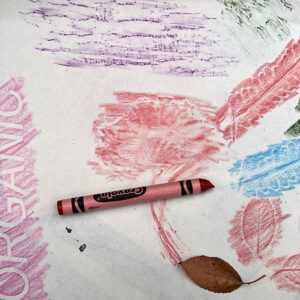 Wax Crayon Rubbings by Tobi Meuwissen