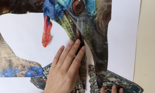 Working with simple printed/magazine imagery provides a useful starting point for even the youngest of children to explore collage and to create artwork based upon simple starting points.