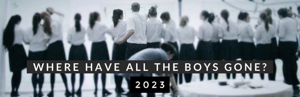 Where Have All The Boys Gone by Susan Coles