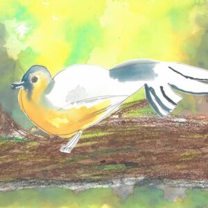 Tuesday 21st November 4.00pm-5.00pm Free to AccessArt Members