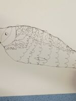 Continuous Line Drawing Of a Fish by Charlotte Puddephatt