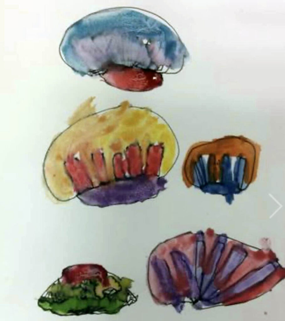 Year 1/2, Ruardean C of E Primary School