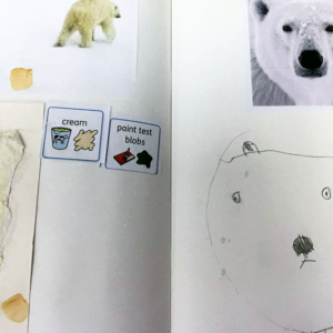Polar Bear Sketchbook Work by Clare Boreham