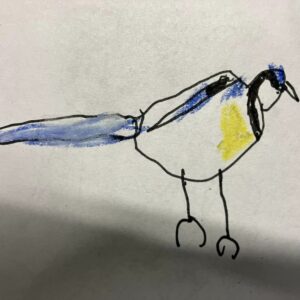Year 1 and 2, Grindleford Primary School