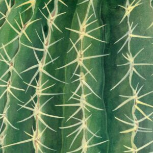 Explore a collection of resources to help build your understanding of assessment and progression in art