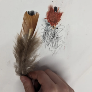 Sarah Mackenzie, Year 1, St Hilary's School