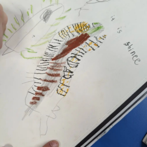 Sarah Mackenzie, Year 1, St Hilary's School