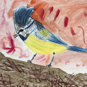 Year 4, Sutton Valence Preparatory School