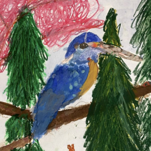 Year 4, Sutton Valence Preparatory School