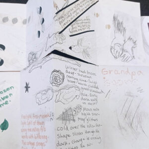 Year 4, Plymouth Grove Primary School