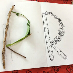 Year 5, Selborne Primary School