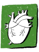 Heart by Tobi Meuwissen