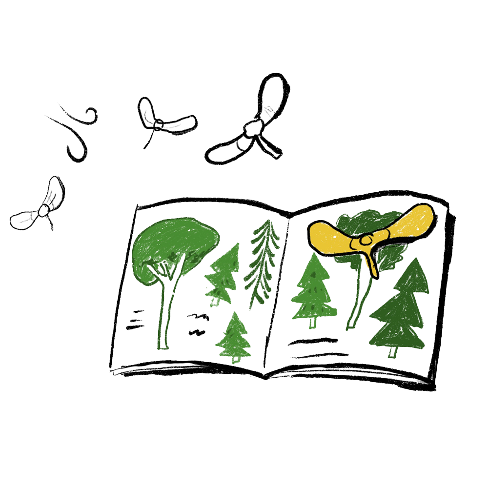 Sketchbook Forest by Tobi Meuwissen