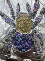 An embossed drawing of a spider.