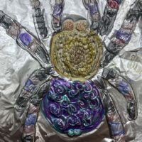 An embossed drawing of a spider.
