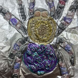 An embossed drawing of a spider.