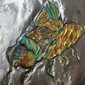 Drawing insects and minibeasts