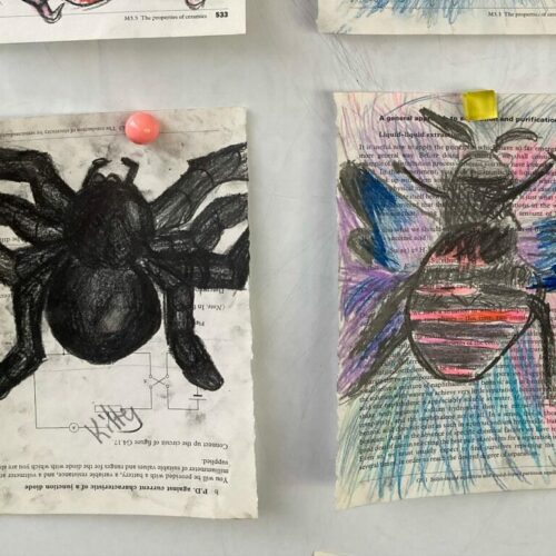 A drawing of a spider and bee.