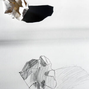 Paper Folds