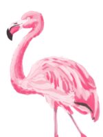 Louise as a Flamingo by Tobi Meuwissen