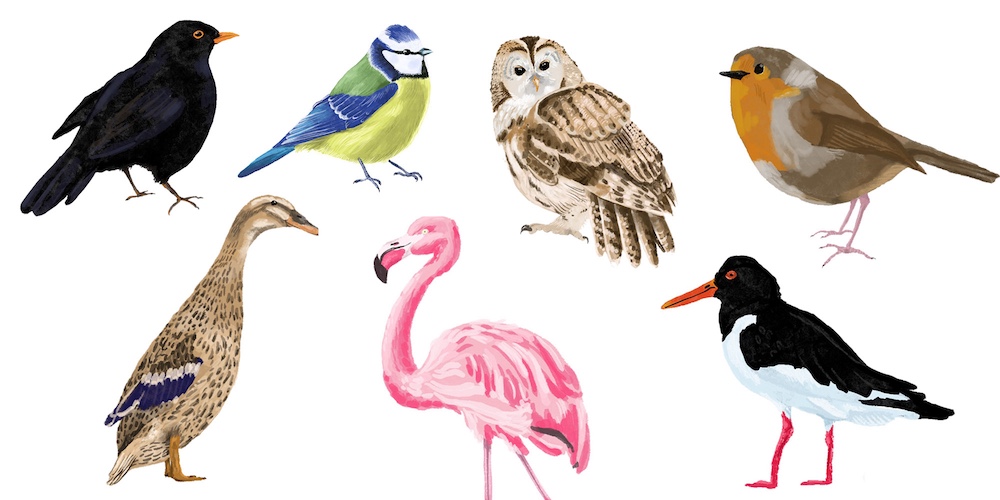 Birds Together by Tobi Meuwissen