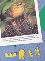 Collaged Wren by Charlotte Puddephatt