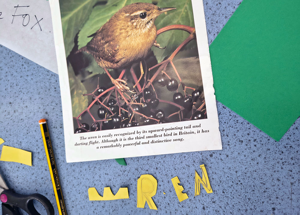 Collaged Wren by Charlotte Puddephatt
