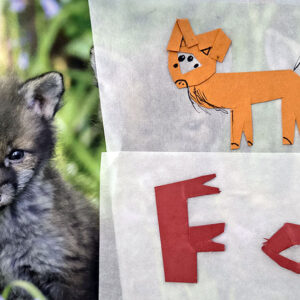 Rearranged Fox by Charlotte Puddephatt