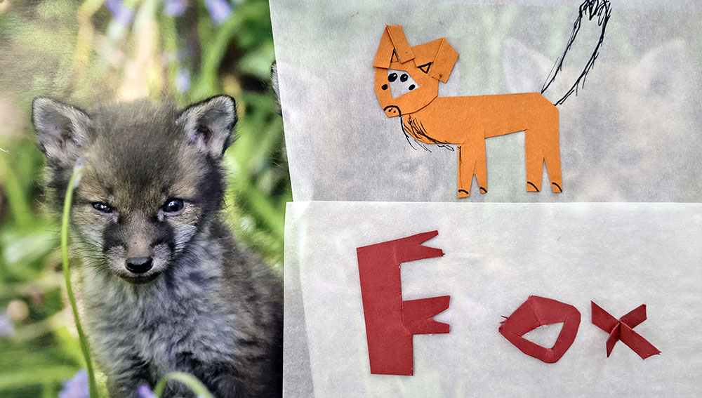 Rearranged Fox by Charlotte Puddephatt