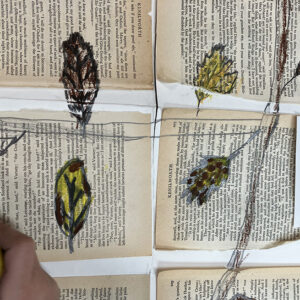 Leaf Drawings from MMPS by Tobi Meuwissen