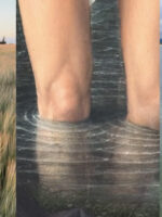 photomontage of wheat field and water