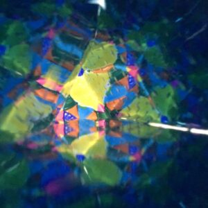 Ruth at Carden Primary School, Brighton