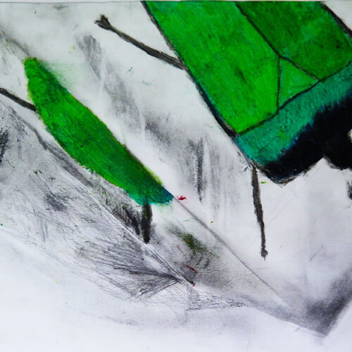 Mixed-media Insect Cube by Jan Miller